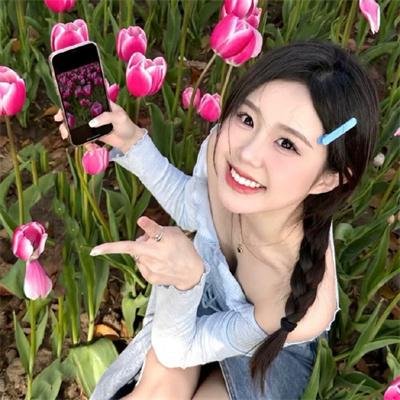 小鸟之翼第二季